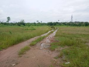 FOR SALE: two parcels of land measuring 4.717 hectares and 0.796 hectares (approximately 3,221.564sqm).  Location - Along Lagos-Abeokuta expressway, Owode, Ogun state. Title - C of O